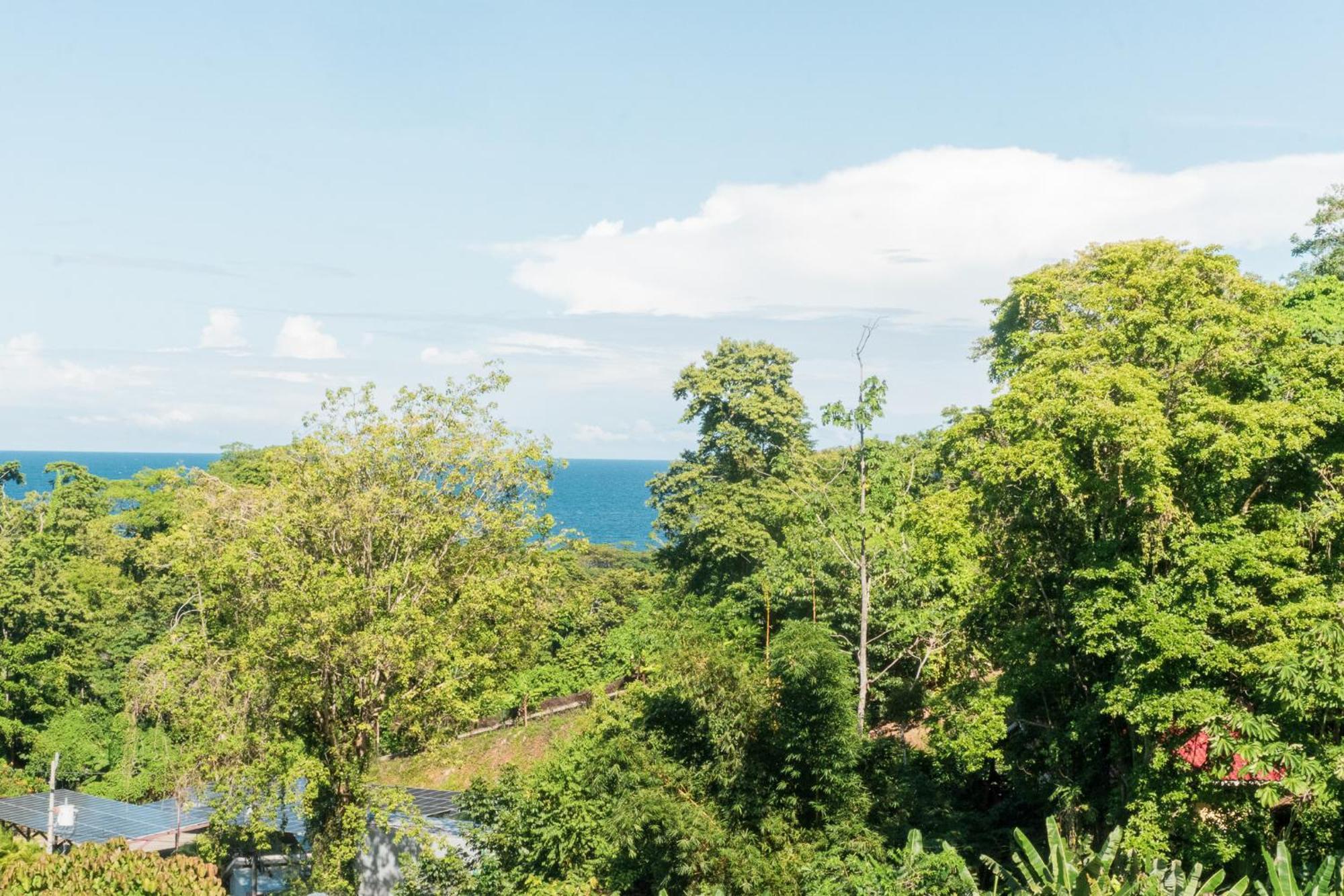 Ocean'S Breeze Apartment And Rooms Puerto Viejo de Talamanca Exteriér fotografie